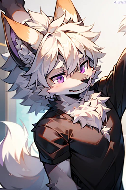 solo person,shaggy male,Furry,coyote,canid,Gray fur,long white hair,The ends of the hair are purple,a purple eye,Bullied,adolable,Handsome,Stretching action