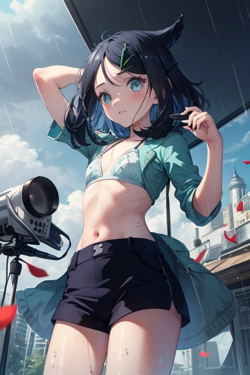 sfw, (rain wear),(((((Wind))))), ((((強Wind, 向かいWind, 強いWind)))), Top view, (((With the microphone))), (((Television shooting))), (((((rain, Town))))), (((, rain wear, Food, Foodを掴んで, Light blue bikini bra, ))), Angle from the front , cute, Sweat, (masterpiece, Highest quality, 8K ultra-high resolution:1.4), Pokemon Riko, (City, 台Wind, 非常に強いWind: 1.4), Written boundary depth, Focus of the film, From a dramatic angle, Emotional composition, Emotional engine full throttle BREAK Young and cute, Slender body, Flat Chest, Highly detailed glossy skin,Sweat, Shorts, Wet and shiny thighs, 完璧なPokemon Rikoトップブレイク
, Wind, detailed in the Wind, petals dancing in the Wind
BREAK
ultra detailed crystal eyes, Eyes like shining jewels