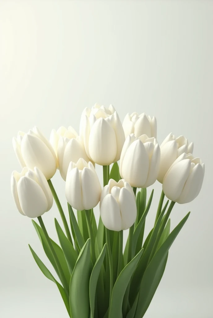 Many white tulips