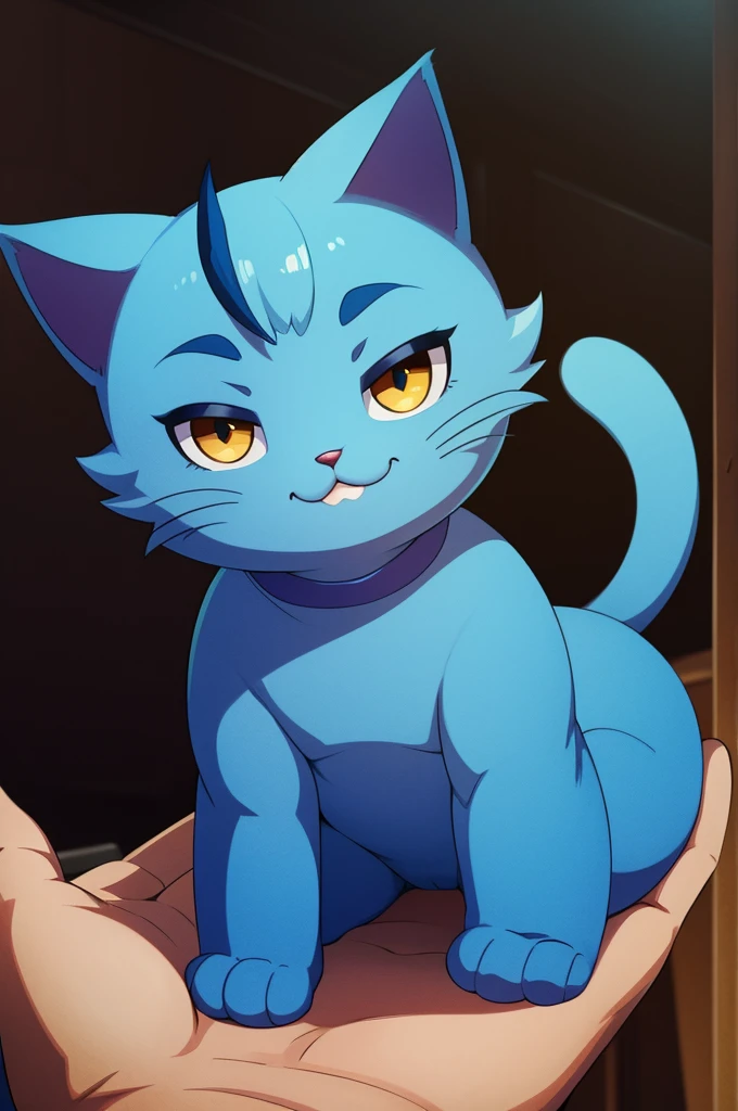 blue cat, cute