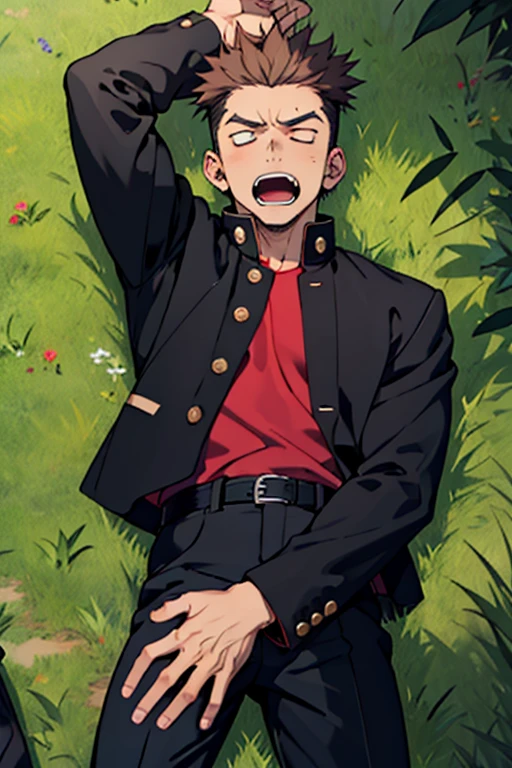 One boy, alone, Iris, Point pupils, Brown Hair, short hair, gakuran, Black jacket,Red Shirt、Black Belt, Black trousers, bad、Riverbank、On the grass、Sleep with your legs apart,　Scream　Upper Body