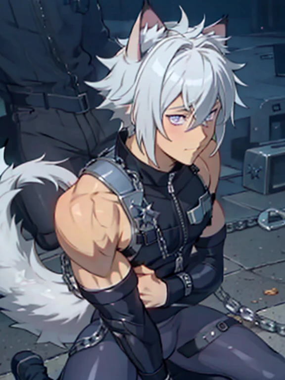 (masterpiece, Highest quality),Smooth and delicate skin, Surprised expression,Raised to be sexy, like々Shii, Background Chain　Embarrassed look　Kneeling　Hinata　Chained　suffer　Torn black full-body clothing　White Hair　Blue Eyes　Purple Eyes　Upper body naked　Raising his arms　Side view　Men's gray leggings　Cat ear　Thick tail　large delicate eyes