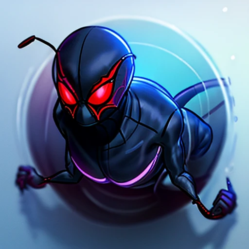 Spider insect
