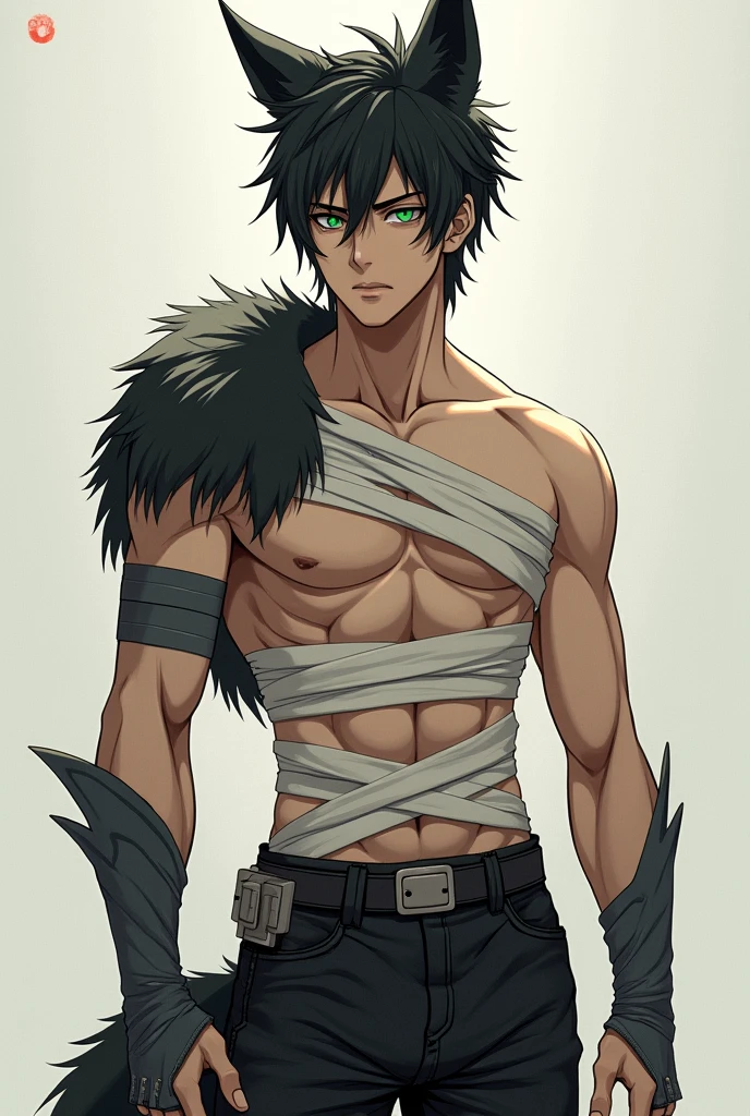 Tall, skinny anime man, but slightly muscular, shirtless but wearing black pants., torso with bandages, black hair and green eyes, wolf ears and wolf tail, white and serious.