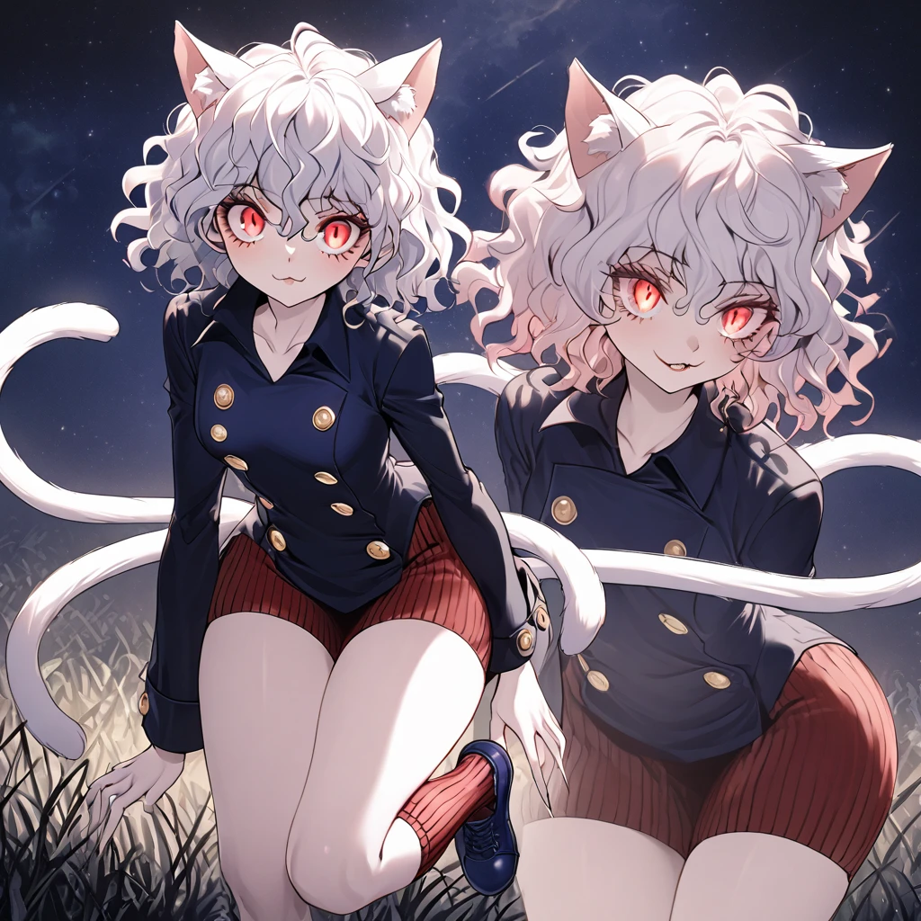 1girl, neferpitou, short hair, red eyes, animal ears, tail, white hair, cat ears, cat tail, curly hair, long sleeves, shorts, model's expressiion, silver hair, short and curly hair, cat ears, red eyes, large pupils, double eyelids, slender eyebrows, long eyelashes, small nose, small mouth, sharp jawline, blue military-style coat, six gold buttons, short red striped skirt, high collar, long sleeves, slender wrists, flexible fingers, white skin, cat-like claws, red striped knee-high socks, blue shoes, sturdy soles, slender ankles, small feet, long legs, muscular thighs, thin waist, wide shoulders, cat-like gaze, long neck, straight shoulder line, straight back, muscular arms, long fingers, firm upper arms, soft hands, small palms, cat-like smile, serious furrowed brows, pointed ears, pink inside of ears, thin eyelids, upward curled eyelashes, vertical slit pupils, cat whisker-like cheek markings, many lower eyelashes, small nostrils, thin lips, pointed chin, protruding collarbones, straight posture, high hips, muscular thighs, pointed knees, well-fitted socks, neatly tied shoelaces, soft cat ears, rounded ear tips, soft fluffy hair, thin eyebrows, light pink lips, white teeth, well-shaped lips, smooth skin, sensitive ears, reflective pupils, heavy eyelids, slightly curved cat ears, well-fitted coat, wide skirt hem, shining buttons, slightly old shoes, hair waving in wind, sparkling pupils, moving cat ears, nighttime forest background, moonlight, starry night sky, G-cup chest, cocky cat-like expression, thick glossy thighs and hips, detailed texture of hair and clothing, light and shadow contrast, background details including swaying grass and old building, specific lighting conditions with moonlight casting shadows, detailed coloration of outfit with deep blue and red stripes, intricate design of buttons, and emotional depth in expressions showing defiance, joy, and determination.