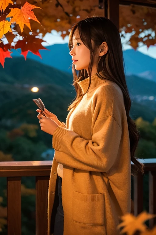Mountain、autumn leaves、night