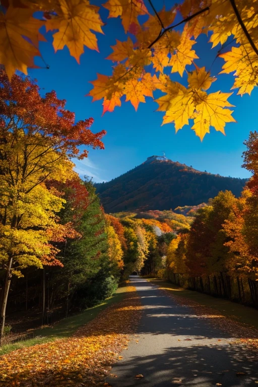 Mountain、autumn leaves、night
