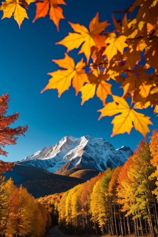 Mountain、autumn leaves、night