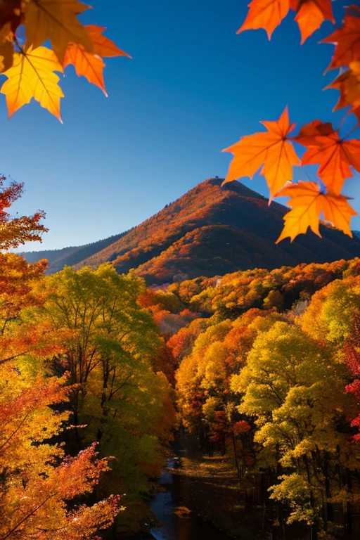 Mountain、autumn leaves、night