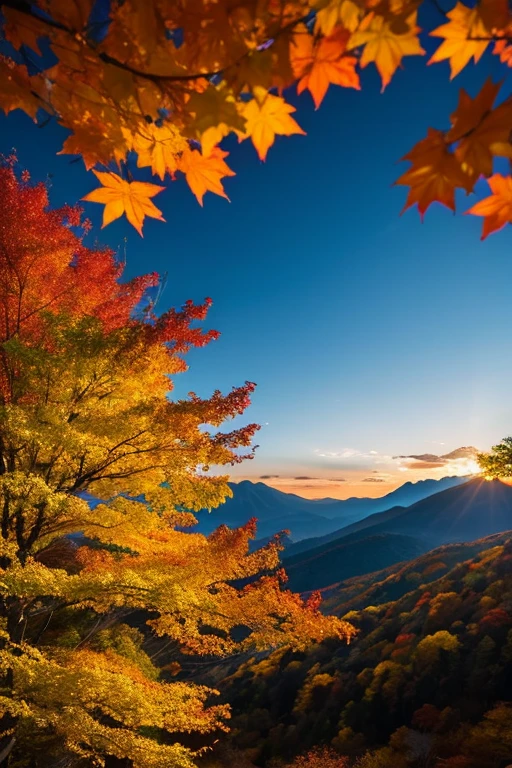 Mountain、autumn leaves、night