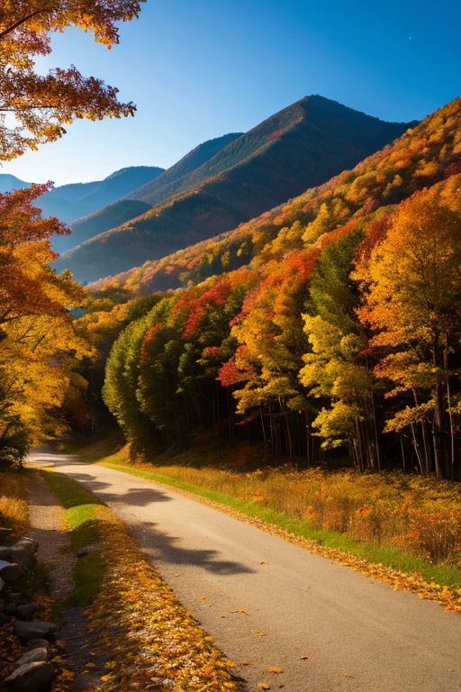 Mountain、autumn leaves、night