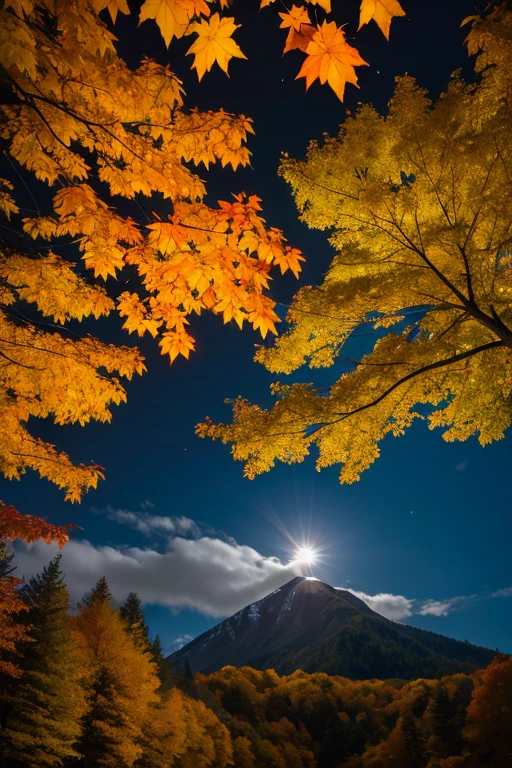 Mountain、autumn leaves、night