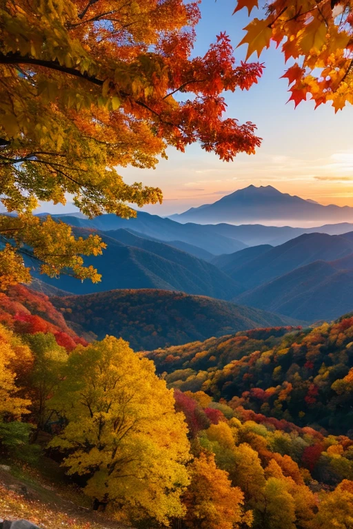 Mountain、autumn leaves、night