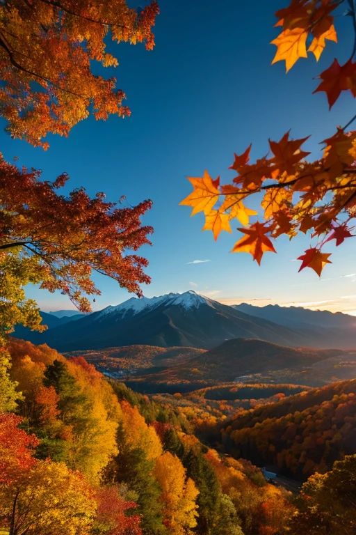 Mountain、autumn leaves、night