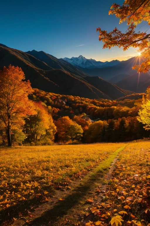 Mountain、autumn leaves、night