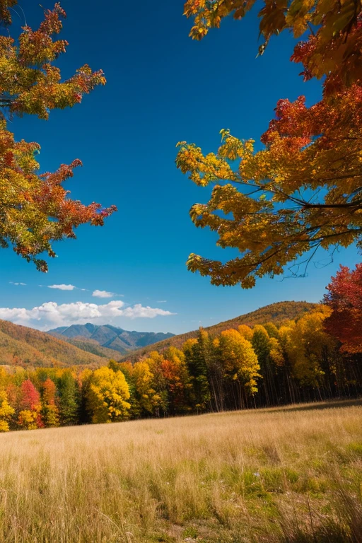 Mountain、autumn leaves、night