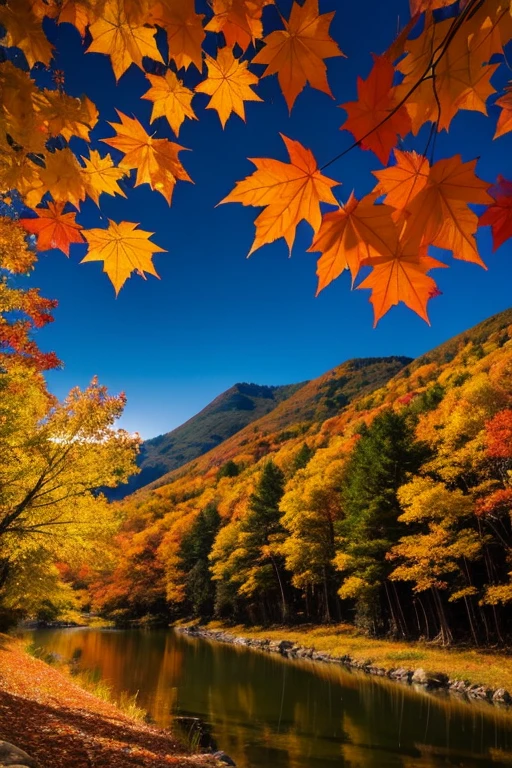 Mountain、autumn leaves、night