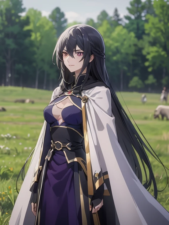 (Confused, high resolution, very detailed), 1 woman, black hair,long hair,Crimson eyes,Blue and black battle clothes,24th generation,beauty,mature,thin,quiet,careful,small smile,Long cloak,Slender and thin,skinny pants,grassland,hill,huge_breasts, purple eyes, Eye shape precisely