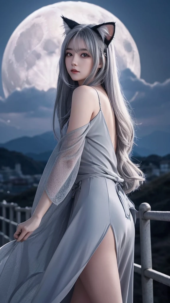 Cat ear、Body facing forward、mysterious、Spectacular Background、moon、Beautiful gray hair、long hair、close、