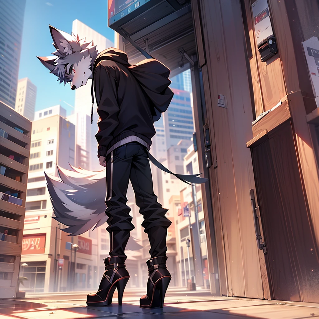 whole body,solo,perspective:From the side,posture:Standing,Shota,Wolf,headphone,hoodie,pants,Knee-high boots,Stiletto heels,