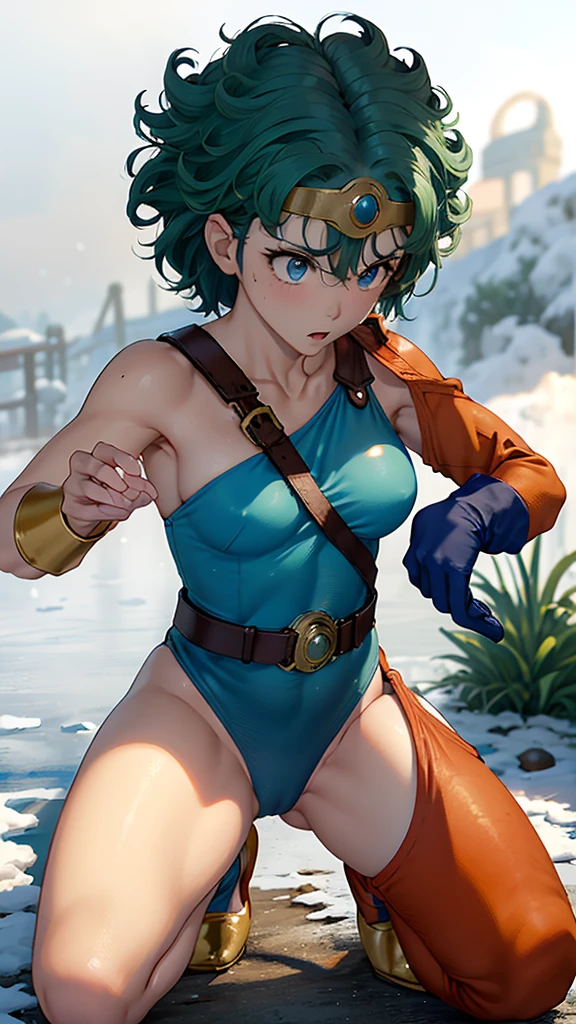 (((SFW、sound、Highest quality、Top notch work、Normal body、、Detailed face、Ultra-precision、Normal hand、のrefer、5refer、Highest)))、beautiful girl、Green Hair、yamato nadeshiko、Small breasts、Shortcuts、Blue leotard、Muscular、Red Cape、Circlet、Dragon Quest、Female Heroes、 Fight、Fight準備完了、((Executed perfectly:Frame yourself from head to toe,Standing posture,Draws in great detail、There is no anatomical problem))、(((A snowy grassland)))、(((Snowstorm:1.5)))、(((Kneeling、Shivering from the cold:1.4)))