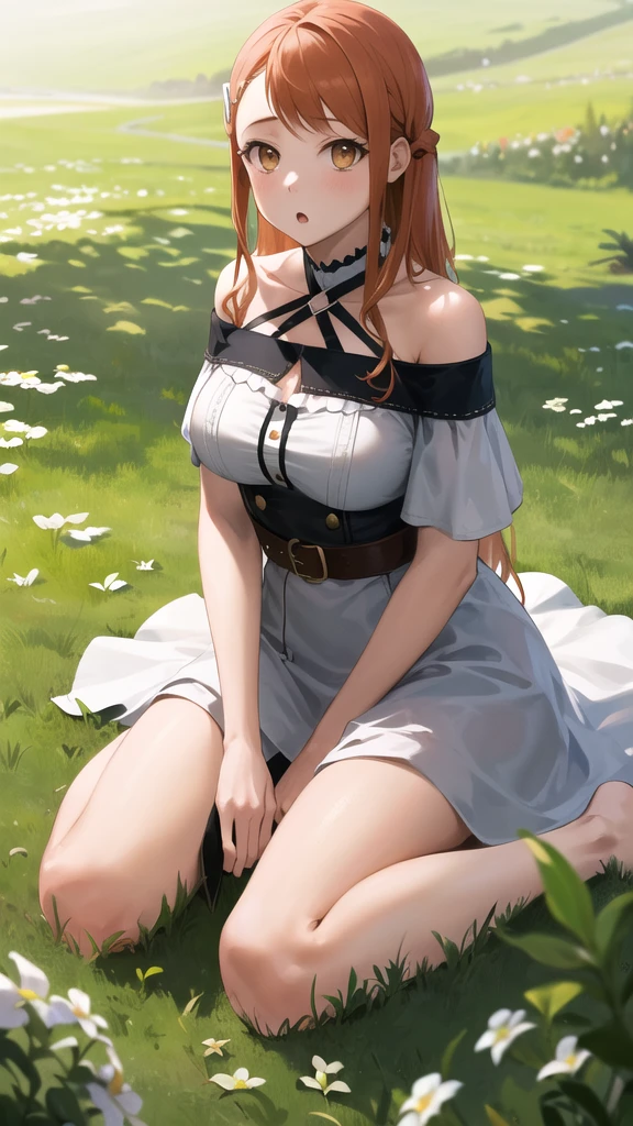 masterpiece, best quality, highres, 1girl, anjou naruko, hairclip, large breasts, white dress, off shoulder, belt, long hair, hair_down, :o, wariza, grass,