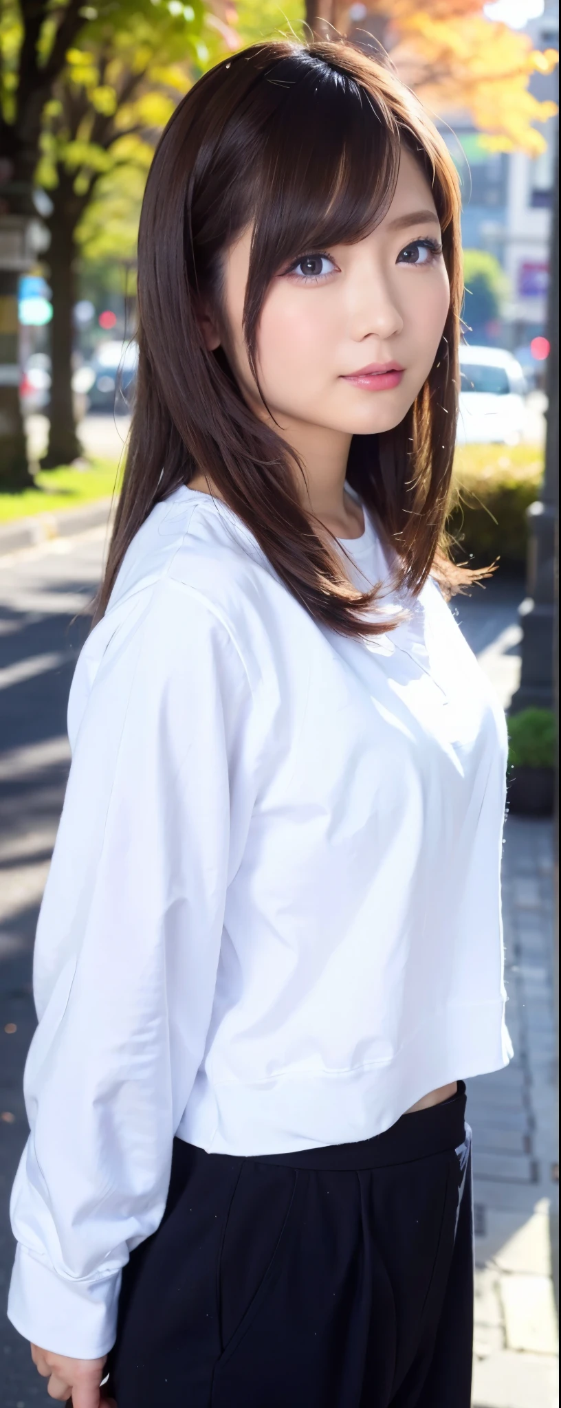 ((top-quality, 8K, ​masterpiece:1.3)), sharp focus:1.2, Beautiful Women in Perfect Style:1.4, Slender Abs:1.2, wearing oversize sweat shirts:1.5, wide long pants, ((dark brown hair:1.2)), (natural soft light, City Street:1.1, autum), Highly detailed facial and skin texture, A detailed eye, natural makeup:0.7, double eyelid, uniform, Female, 24 years old