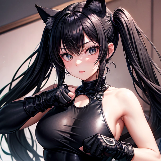 she is wearing black clothes, Exactly, High Cut Bodysuit.A woman boxing It has cat ears and a tail. Twin tails Open Finger Gloves