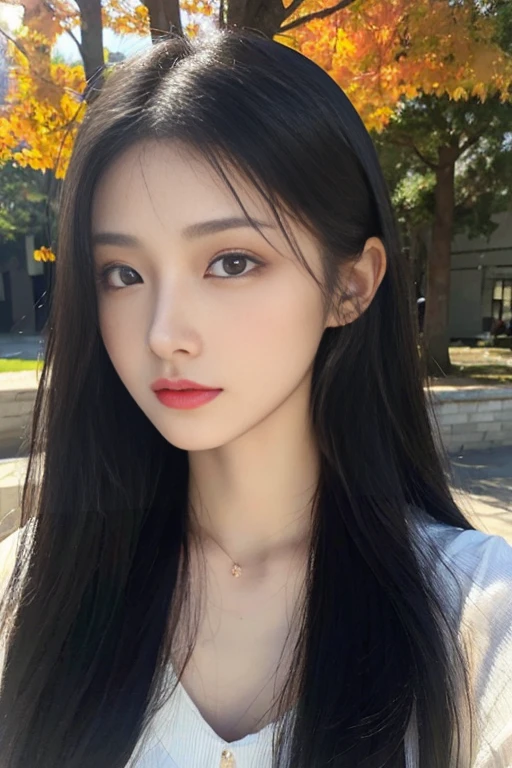 A beautiful 18-year-old girl with long black hair、Checked long skirt、Slim body with beautiful curves, clear、perfection、Realistic skin texture,、Autumn park、Soft Light、(Surreal), (Awareness-raising), (High resolution), (8k), (Very detailed), (Beautiful eyes), (Highest quality), (Super detailed), (masterpiece),(Detailed face),