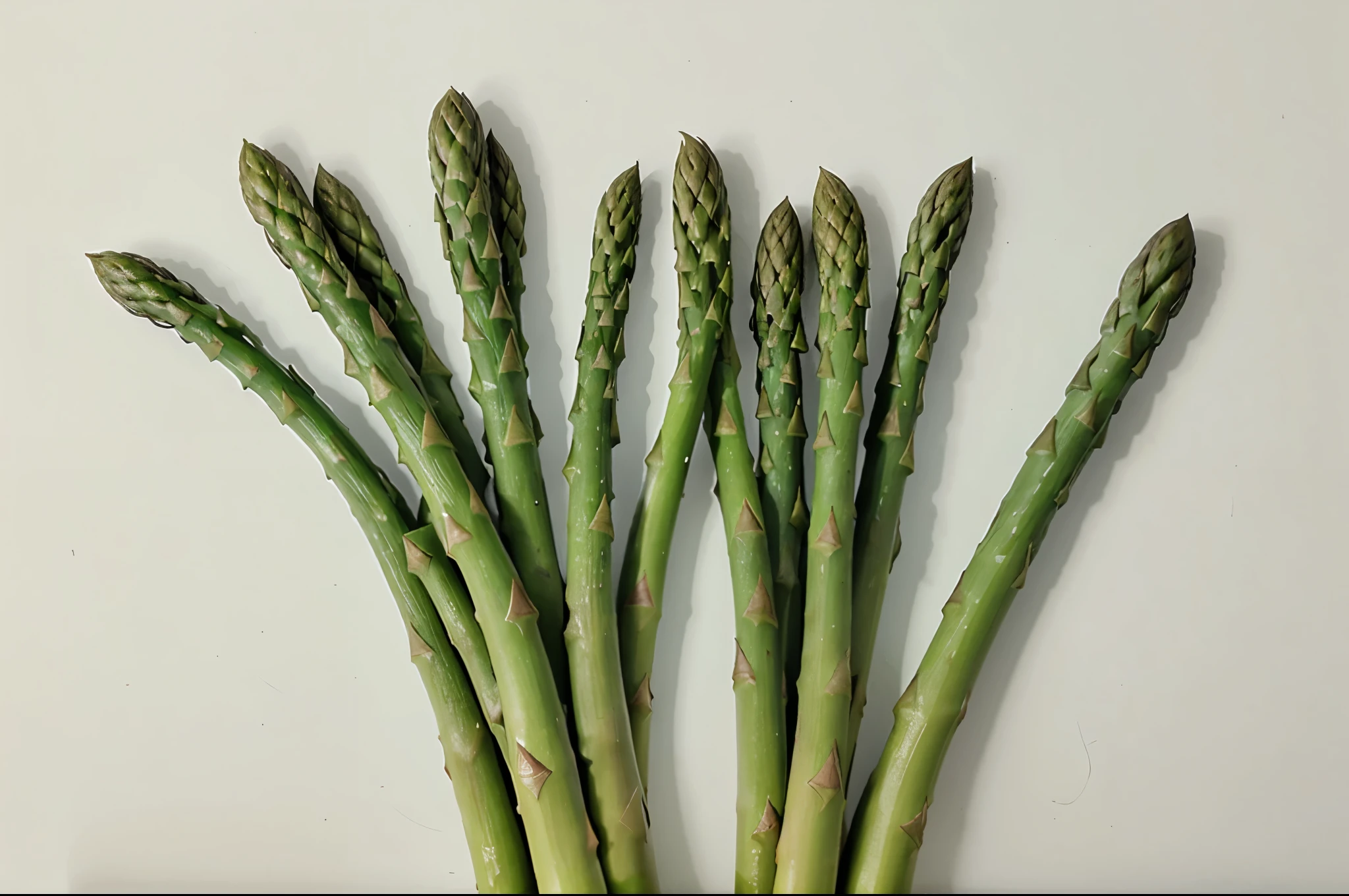 Fresh green asparagus isolated on white background