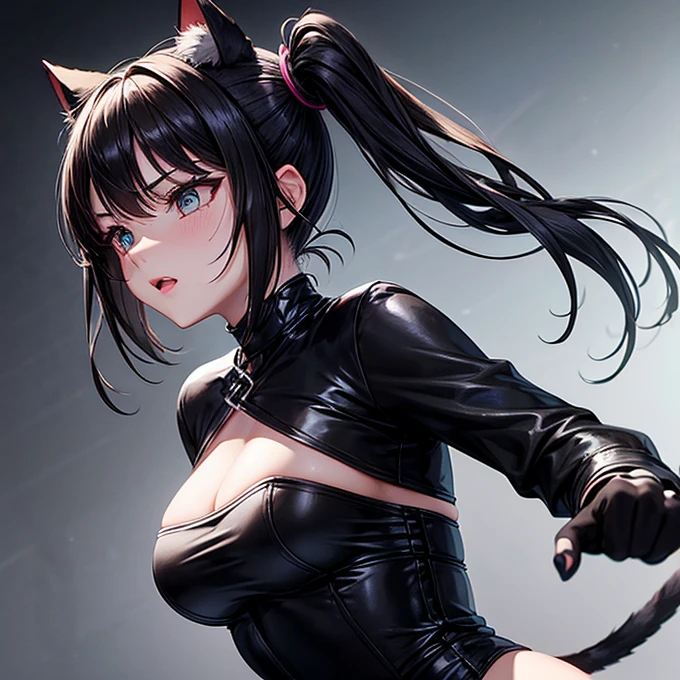 she is wearing black clothes,  High Cut Bodysuit.A woman doing professional wrestling　It has cat ears and a tail...　Twin tails　Open Finger Gloves　Fighting in the ring