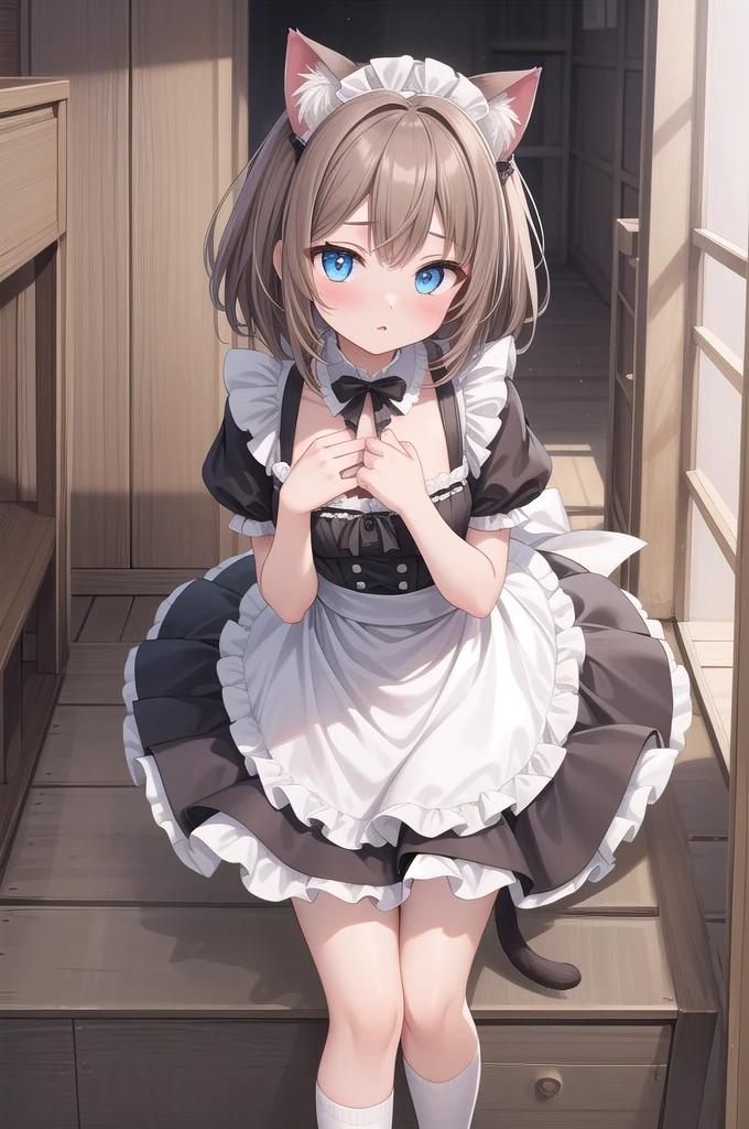 Solo Girl, 20-year-old,Medium Hair, Light brown hair, Mid-chest, highest quality, High resolution, Very detailed, Detailed Background, Perfect lighting、Extreme maid outfit、very cute, Blue eyes, a pair of cat ears, Blush, white silk socks, lace