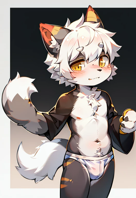 Bright Eyes, Q version, Avatar Frame, character focus, Solitary, hairy, hairy male cat, male,Gray fur, Golden Eyes, White hair (long) style, Little cutie, Will sell cute, blush, Has a tail,White diapers,High Definition
Estimated