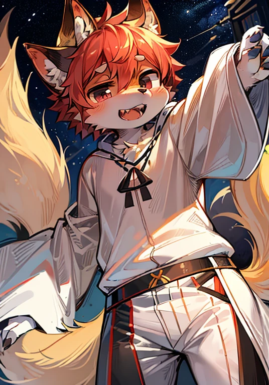 (Bright environment: 0.8), masterpiece, high quality, Abstract research, number\(artwork\), by Dagasi, Yes, Seizan, (Ansero, Fluffy fur, character focus: 1.1), Ansero Male Cat, short hair, portrait , Bright Eyes, panoramic, character focus. (Detailed background: 0.7), hairy, hairy male, Male focus, Anser, (Body hair, Big fluffy tail, White fur, black eyes: 1.2), (Long canine teeth, Junior high school students, Pure white robe, White pants, White top: 1.2), (night, Starry Sky, meteor, Many gold dots, Starry Sky: 1.1),Multiple tails