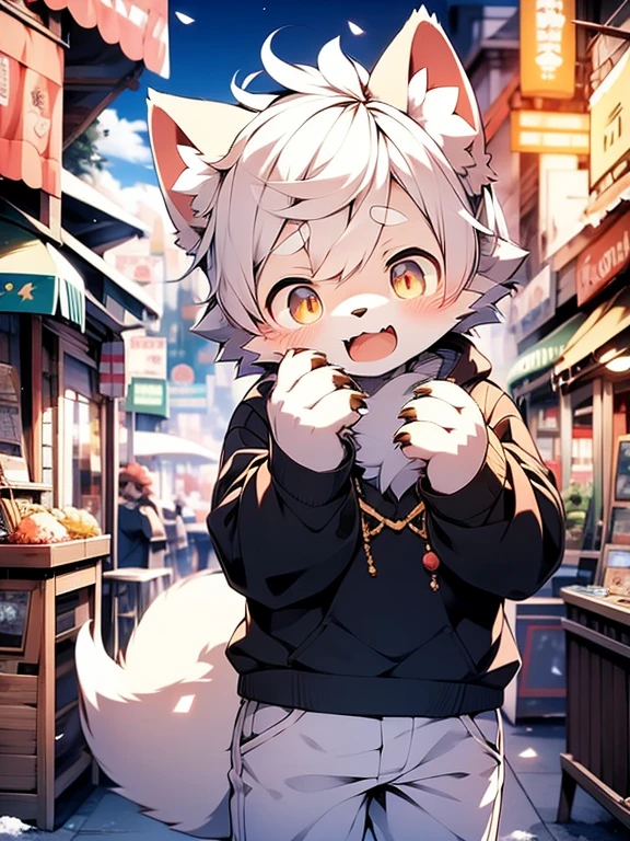 hairy,,hairy,Gray fur,male,Canine,arctic fox,individual,Sharp claws, Fine fur, Gold Eyes,hairy的尾巴,Blue sweatshirt,White jeans,Ultra Detailed:1.0,City Streets,Detailed background,boy,Toddler,(by Dagasi:1.1),Anatomically correct