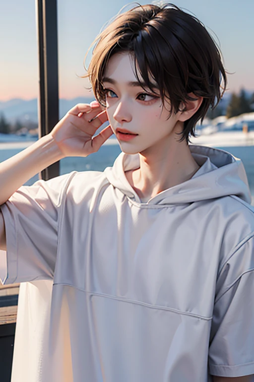 One boy, brown hair, White skin, 18 years old, super detail, masterpiece, 8k, korean, amazing, Idol, high quality, Refreshing, high quality, androgynous boy, Refreshing, winter, clear, Natural lighting, Make your eyes look more natural, prime, The season of snowfall, High Quality, 한winter, hood T-shirt, student, broad shoulders, male, Model, Short hair