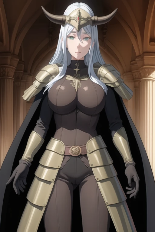 (high quality:1.2), intricate detailed, colorful,
VanessaCromwell, 1girl, mature female, solo, cowboy shot,
looking at viewer, determined,
white hair, long hair, green eyes,
armor, breastplate, shoulder armor, bodysuit, horned helmet, gloves, cape, cloak, (cape covering her body 1.2)
large breasts, 
Room, standing 
 