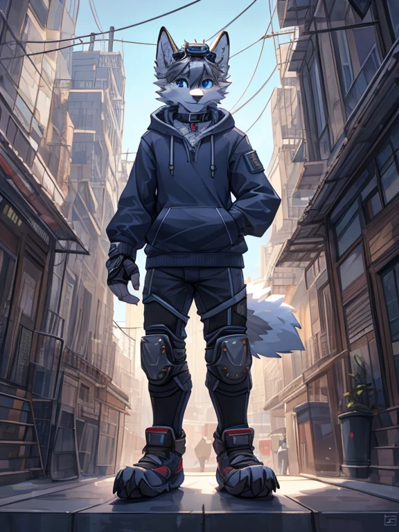 masterpiece, high quality, hi res, solo, teen Furry, furry, teenager, white wolf,  collar, blue eyes, goggles, hoodie，elbow pads, knee pads, masterpiece, No muscles, Detailed hands, detailed face, detailed eyes, detailed body, Flat body, Skinny, claws, high resolution, city, stand.