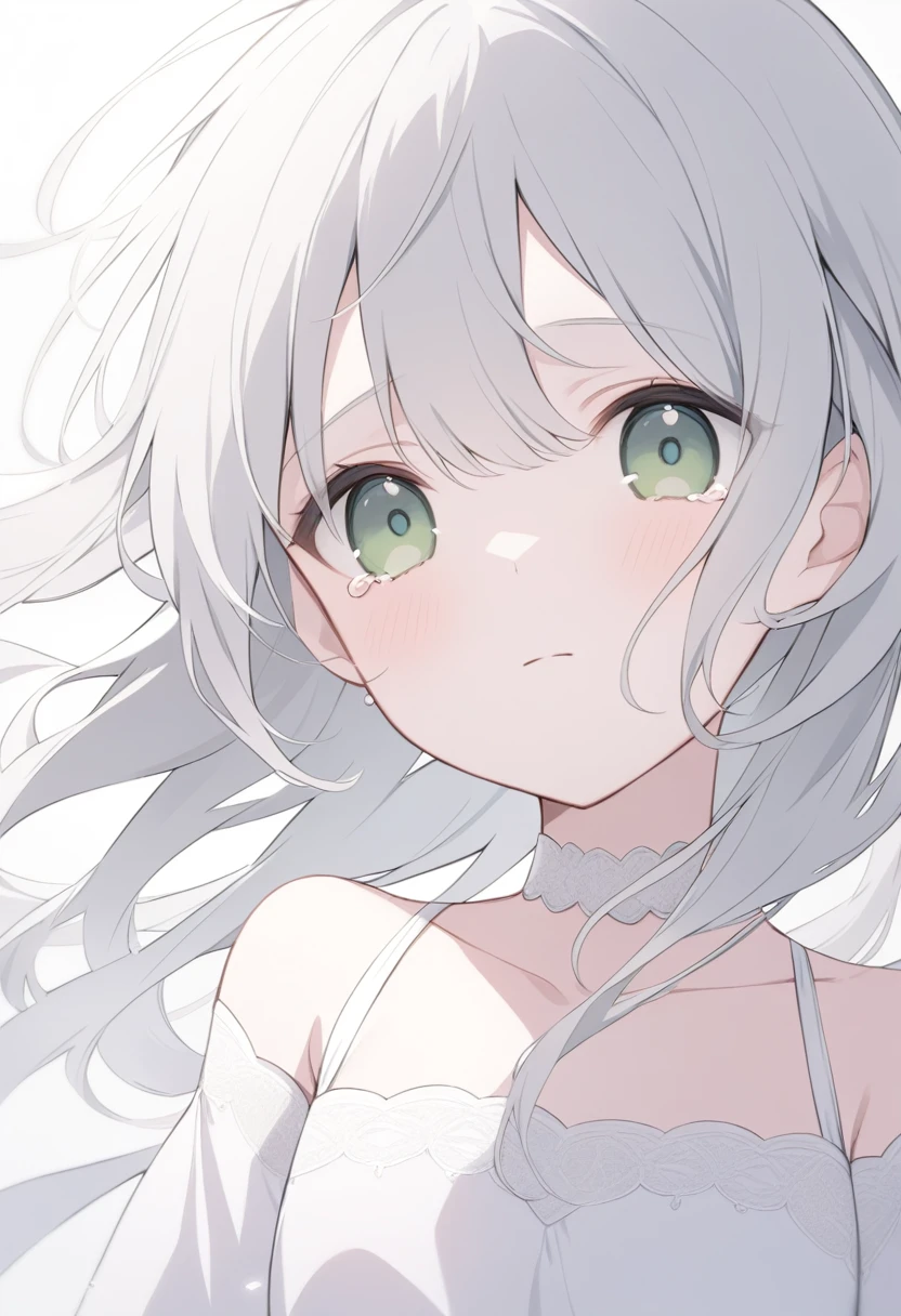 Pale gray hair Slightly bluish, Dark green eyes Eyes wide open White choker Expressionless Tears running down my cheeks Looking into the camera A white dress with thin white lace A little free time Flowing Tears