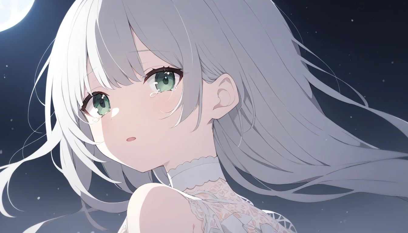 Pale gray hair　Slightly bluish, Dark green eyes　Eyes wide open　White choker　Expressionless　 Tears running down my cheeks　Looking into the camera　look back　A white dress with thin white lace　Slightly open mouth　大量にFlowing Tears　ほっぺをFlowing Tearsが続く　Flowing Tears　Quiet and cold like the moon
