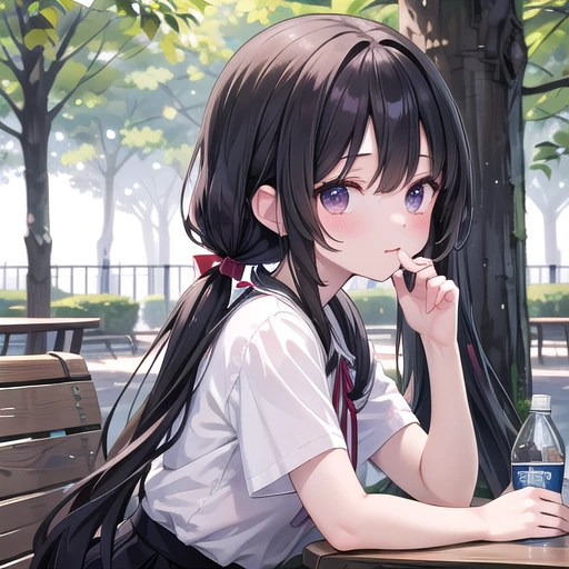 1girl, ****,
sitting, drink bottled water,
black hair, very long hair, (low twintails), low pigtails, red ribbon in hair,
white T-shirt, black skirt,
(dark brown eye),
upper body, park, tree, park chair, outdoor,
afternoon, summer,
from front, from side,
high brightness, detailed face, detailed eyes,
(high quality, ultra detailed, masterpiece, super detail, highres, anatomically correct, UHD),
Japanese anime style, beautiful fingers, beautiful hands