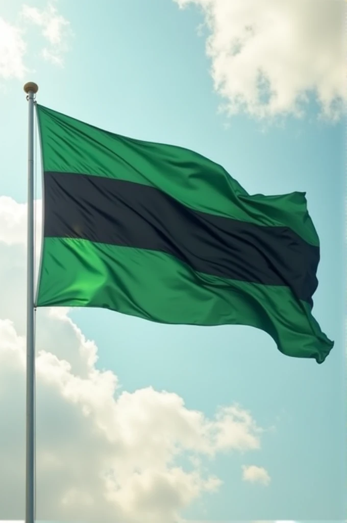 Flag with green, black and white colors