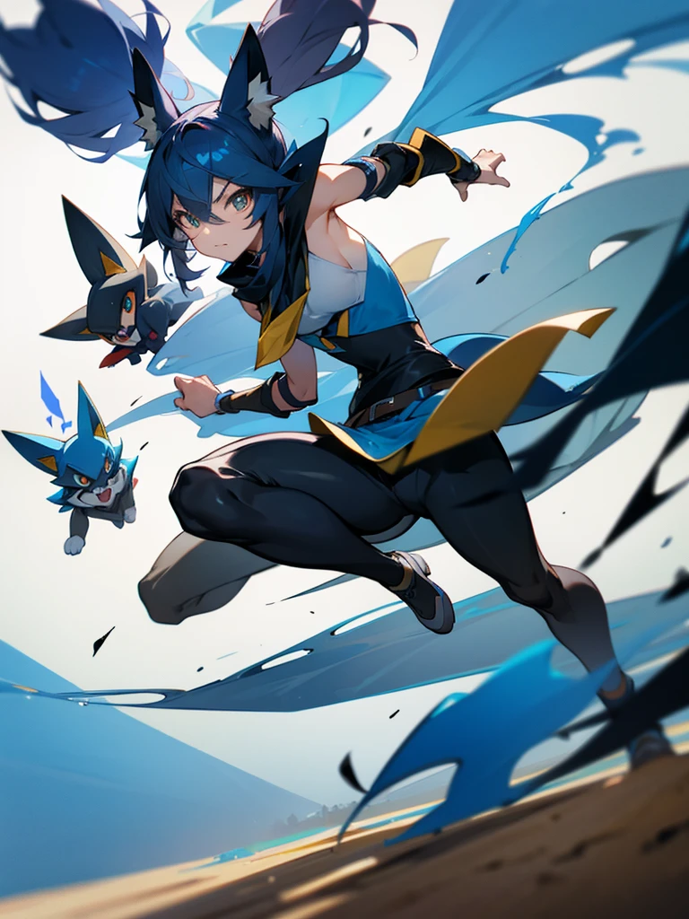 Make an image of a Lucario