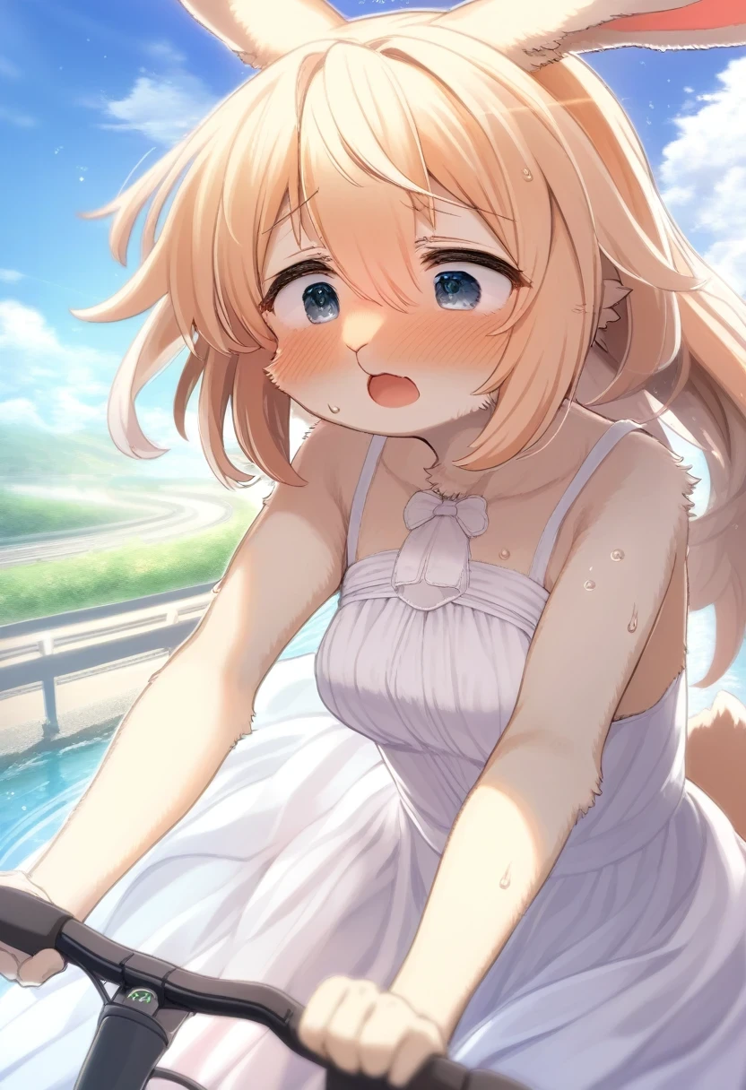 ((Masterpiece)), ((Best Quality)), (Very Detailed), ((Very Detailed)), 4K, (8K), very aesthetic, absurdres highres, 1 woman, (anthropomorphic Rabbit, furry, kemono:1.5), A woman wearing a bridal gown is cycling against the backdrop of a seaside road bathed in soft sunlight. Her expression is tense, filled with impatience, desperation, and sadness. Her hands are firmly gripping the steering wheel, and she's pressing hard on the pedals. Her sweat is flowing, her hair is blowing in the wind, and you can feel her determination.