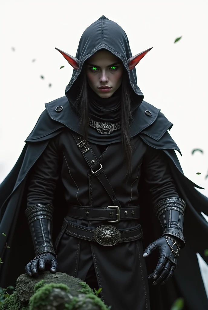 Elfo, Ladin assassin