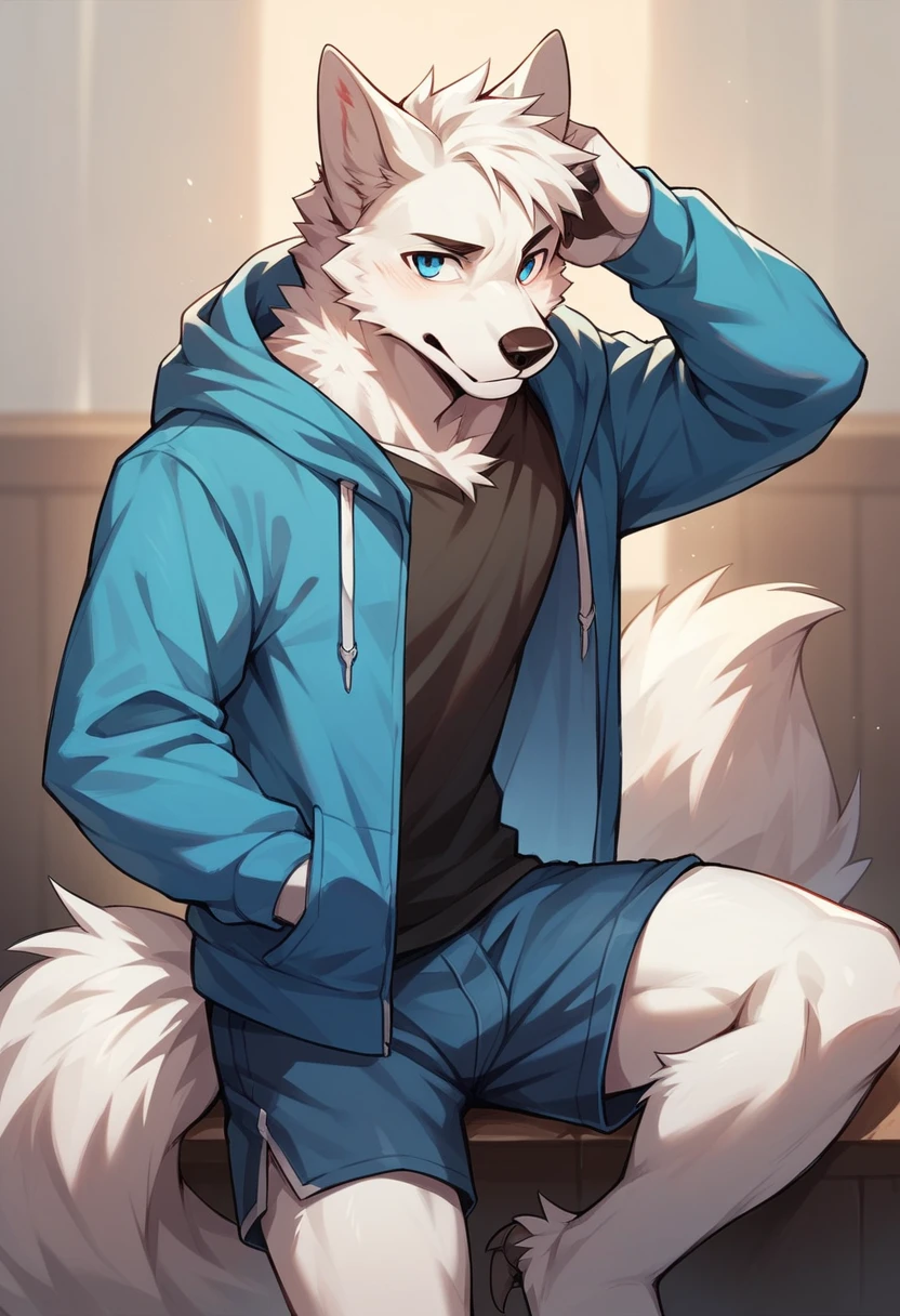 Furry，white fur，male people，teenage，canid，white wolf，solo person，sharp talons，white-skinned， blue eyes，Fluffy tail，hoodie，shorts，ultra - detailed：1.0
