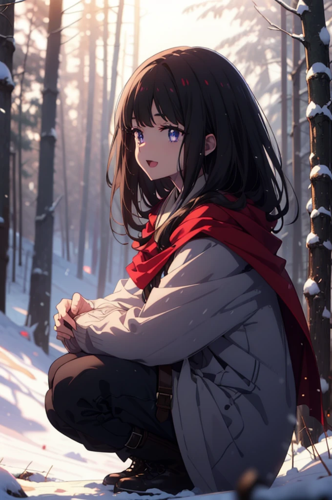 Takiuchi, Inoue Check, Long Hair, bangs, Black Hair, (Purple eyes:1.2),smile,
Open your mouth,snow, fire, Outdoor, boots, snowing, From the side, wood, suitcase, Cape, Blurred, forest,  nature, Squat,  Cape, winter, Written boundary depth, Black shoes, red Cape break looking at viewer, Upper Body, whole body, break Outdoor, forest, nature, break (masterpiece:1.2), Highest quality, High resolution, unity 8k wallpaper, (shape:0.8), (Beautiful and beautiful eyes:1.6), Highly detailed face, Perfect lighting, Highly detailed CG, (Perfect hands, Perfect Anatomy),
