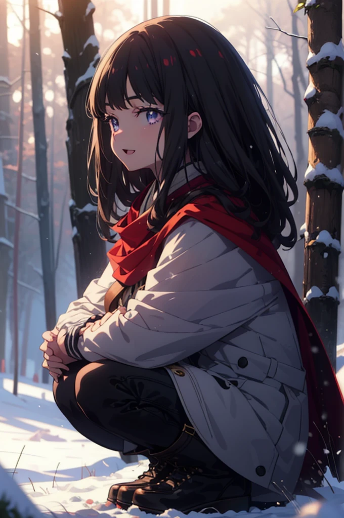 Takiuchi, Inoue Check, Long Hair, bangs, Black Hair, (Purple eyes:1.2),smile,
Open your mouth,snow, fire, Outdoor, boots, snowing, From the side, wood, suitcase, Cape, Blurred, forest, nature, Squat, Cape, winter, Written boundary depth, Black shoes, red Cape break looking at viewer, Upper Body, whole body, break Outdoor, forest, nature, break (masterpiece:1.2), Highest quality, High resolution, unity 8k wallpaper, (shape:0.8), (Beautiful and beautiful eyes:1.6), Highly detailed face, Perfect lighting, Highly detailed CG, (Perfect hands, Perfect Anatomy),