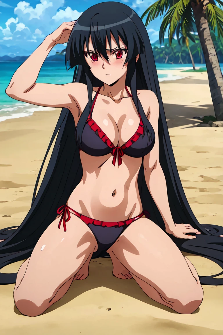 Master piece, best quality,(((1girl,solo))),full_body,akame,red_eyes,black_hair,(((very_long_hair))),blushing,embarrassed,looking at me,bikini,background beach , warter , coconut tree
