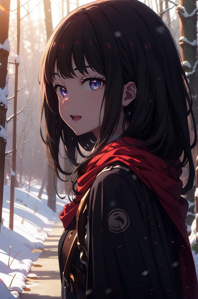 Takiuchi, Inoue Check, Long Hair, bangs, Black Hair, (Purple eyes:1.2),smile,
Open your mouth,snow, fire, Outdoor, boots, snowing, From the side, wood, suitcase, Cape, Blurred, forest, nature, Squat, Cape, winter, Written boundary depth, Black shoes, red Cape break looking at viewer, Upper Body, whole body, break Outdoor, forest, nature, break (masterpiece:1.2), Highest quality, High resolution, unity 8k wallpaper, (shape:0.8), (Beautiful and beautiful eyes:1.6), Highly detailed face, Perfect lighting, Highly detailed CG, (Perfect hands, Perfect ???????),